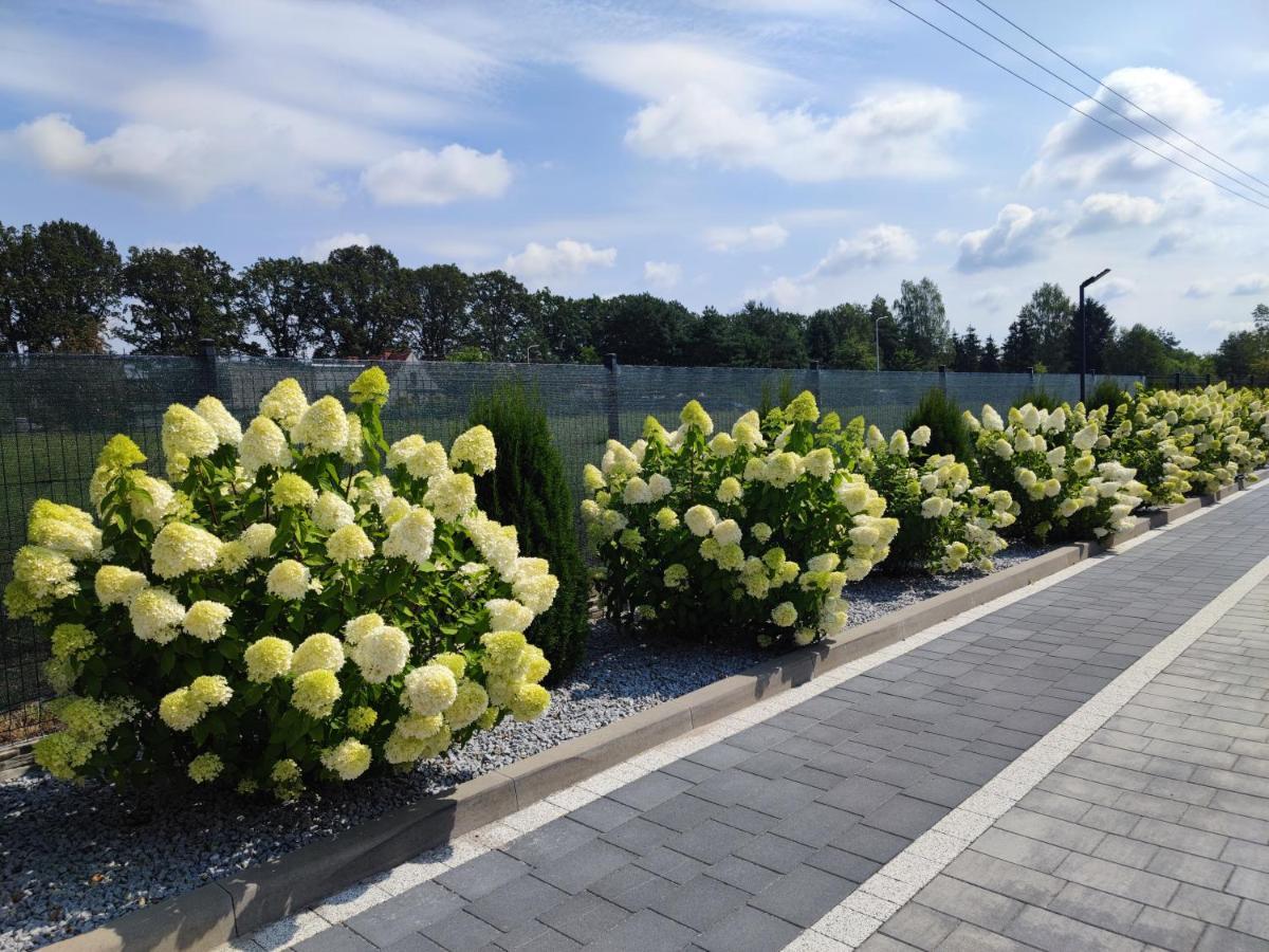 Miodowa Sadyba Domki Caloroczne Kluczbork Ligota Zamecka Экстерьер фото
