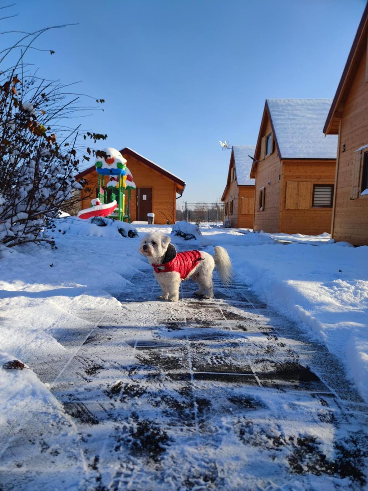 Miodowa Sadyba Domki Caloroczne Kluczbork Ligota Zamecka Экстерьер фото
